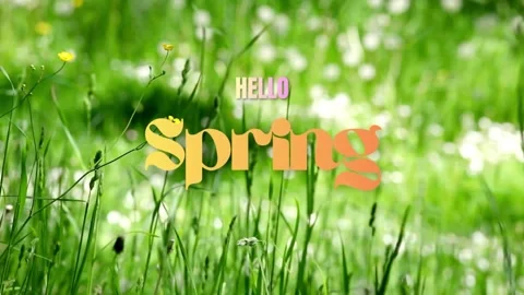Retro Hello Spring Text on Vibrant Green Meadow with Blurred Wildflowers Stock Footage 331615704