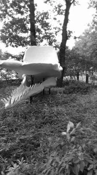 Retro image - Front view on Giant artifical skull of sperm whale arranged in Stock Photos