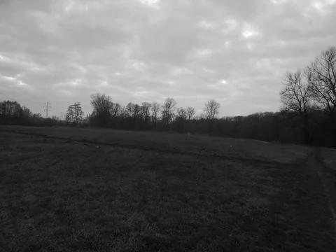 Retro image - Red cloudy dusk over meadow behind distant forests in snowless Stock Photos