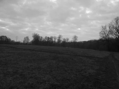 Retro image - Red cloudy dusk over meadow behind distant forests in snowless Stock Photos