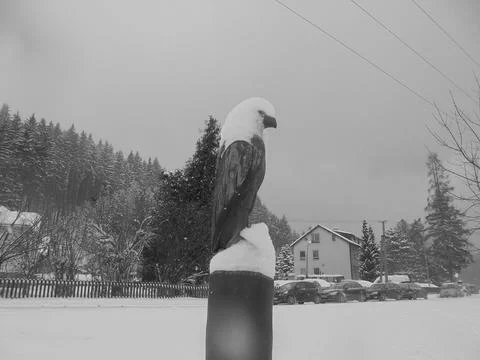 Retro image - Statue of bald eagle covered by snow in Bila village in Stock Photos