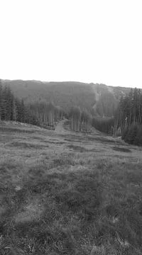 Retro image - Vertical panoramic image of mountain meadow. Ski slope in Beskydy Stock Photos