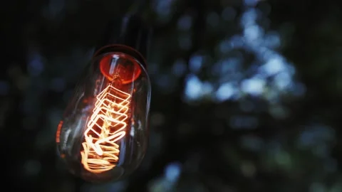 Retro lamp hanging on a tree Stock Footage 170483887