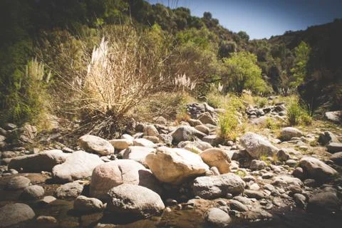 Retro landscape Stock Photos