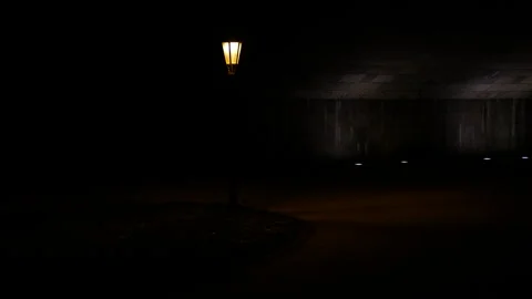 Retro lantern under the bridge Stock Footage 310674543