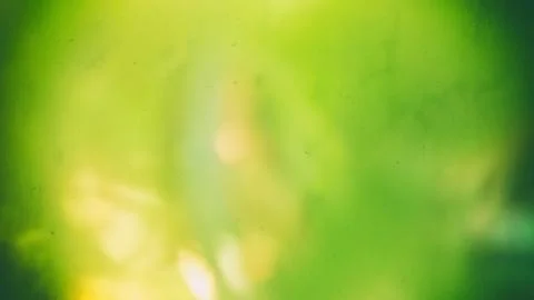 Retro Lime Stock Photos