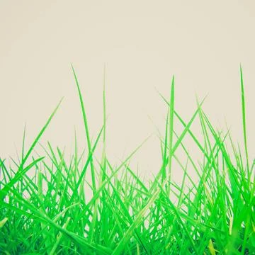 Retro look Grass meadow weed Vintage looking Greem grass meadow useful as ... Stock Photos