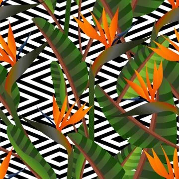 Retro paradise flower pattern background Stock Illustration