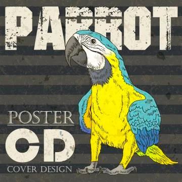 Retro parrot CD or poster design Stockillustratie