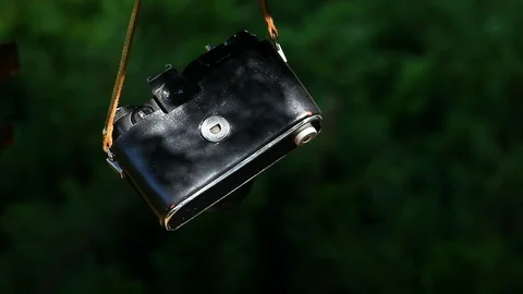 Retro Photo Camera Forest Stock Footage 94325564