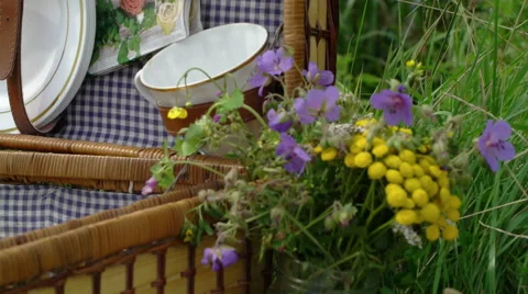 Retro picnic by the river close up 6 Stock Footage 67840916