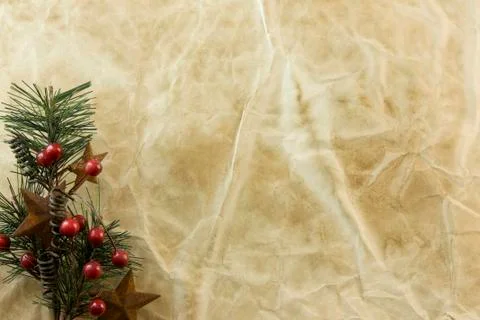 Retro pine branch Fotos de archivo