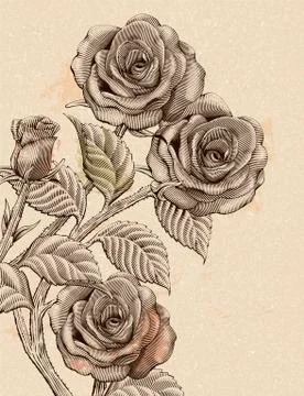 Retro roses decorative elements 스톡 일러스트