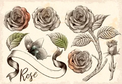 Retro roses decorative elements set 스톡 일러스트