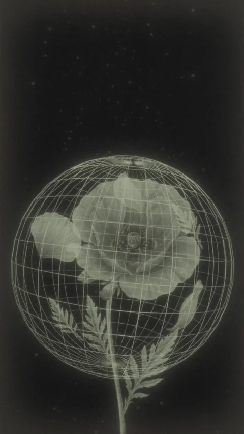Retro sci-fi botanical hologram animation, wireframe sphere with blooming Stock Footage 336472684