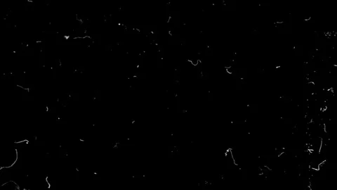 Retro scratch effect. TV screen with scratches and damage. Ideal for overlay Stock Footage 305581145