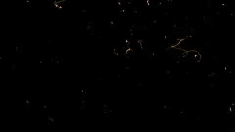 Retro Scratch Effect - Vintage TV Screen with Damage, Dirt, and Light Leaks. Stock Footage 302099434