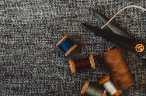 Retro sewing tools: old scissors, bobbins of thread on gray fabric. Tailor's  Stock Photos