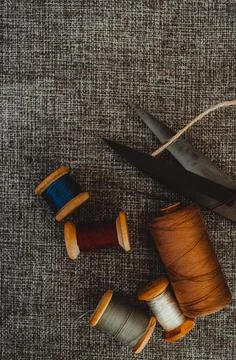 Retro sewing tools: old scissors, bobbins of thread on gray fabric. Tailor's  Stock Photos