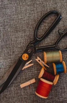 Retro sewing tools: old scissors, bobbins of thread on gray fabric. Tailor's  Stock Photos