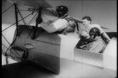 Retro skydivers  - Parachuting 1953 Video stock 245654660