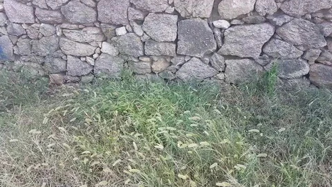 Retro stone wall with grass (background) Vídeos de archivo 97206846
