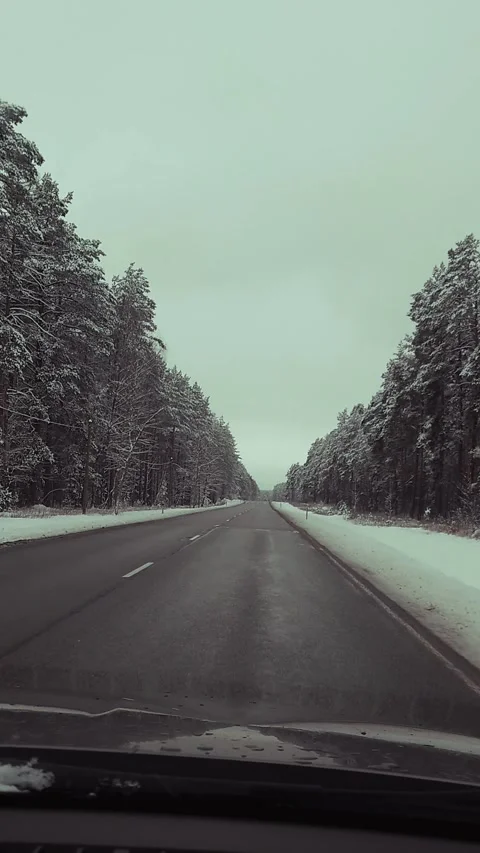 Retro style winter road trip vertical video 4K Vídeo Stock 321376449