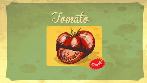 Retro styled tomato hand drawn with pencil and painted with red watercolor over Stock Footage 129644065