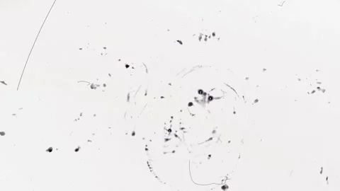 Retro texture overlay. Dust and scratches grunge texture Stock-Footage 291641780
