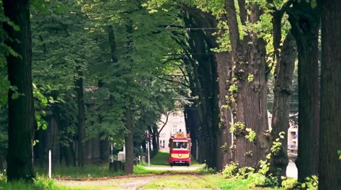 Retro tram ride through the old trees alley. Close up. Stock Footage 53871095