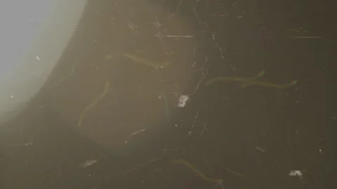 Retro TV screen with light leaks, scratches and damage. Colored damage to old Stock Footage 162107233