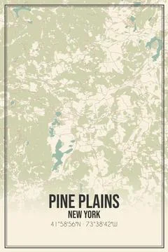 Retro US city map of Pine Plains, New York. Vintage street map. Ilustração Stock