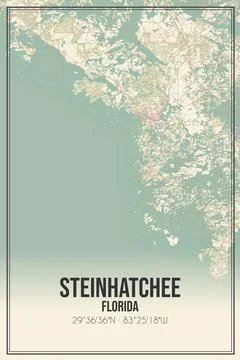 Retro US city map of Steinhatchee, Florida. Vintage street map. Illustrazione stock