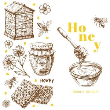 Retro vector honey background template with hand drawn elements Stock Illustration