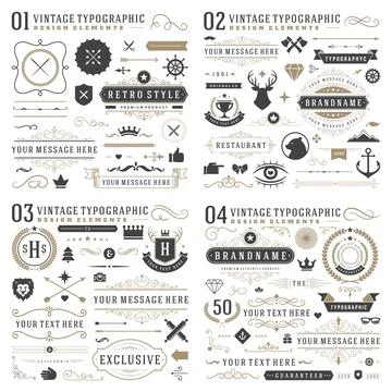 Retro vintage typographic design elements. 库存插图