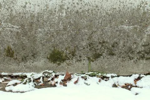 Retro wall old texture with moss, great design for any purposes. Stock Photos