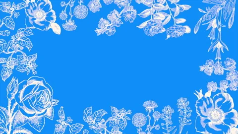Retro white flowers on blue gradient Video stock 242852038
