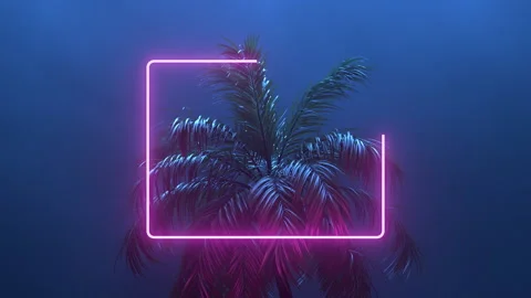 Retrowave glowing rectangle frame appears in the tropical palm tree Stock Footage 154743046