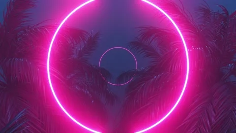 Retrowave glowing rectangle frame appears in the tropical palm tree zoom in Stock Footage 177449921
