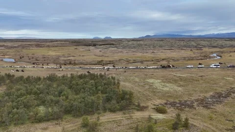 Réttir Stock Footage 286635749