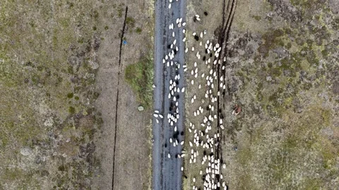 Réttir Stock Footage 286717017