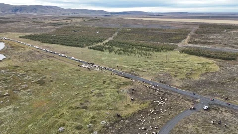 Réttir Stock Footage 286720326