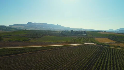 Return to the Azienda, pt. 2/2 Stock Footage 93955853