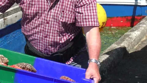 Return from fishing 06 Stock Footage 146724083