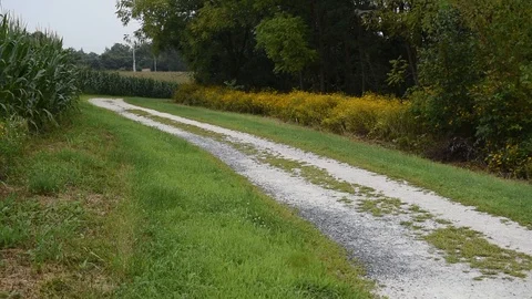 Return Rider on Trail Stock Footage 95025891