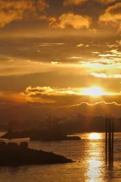Returning to Harbor, Steveston 写真素材