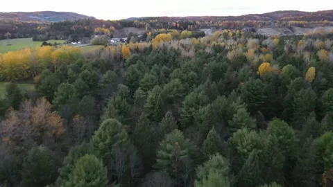 Returning home over the dense autumn foliage Stock Footage 141456814