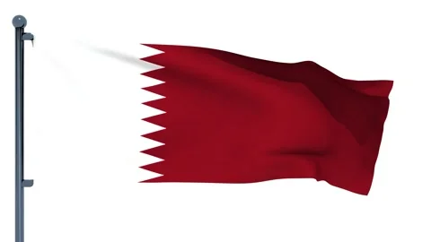 Reunion Flag Stock Footage 150204164