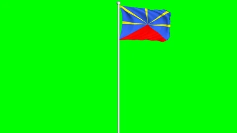 Reunion Flag Waving Fluttering on Wind Loopable Green Blue Screen Matte Stock Footage 77573455