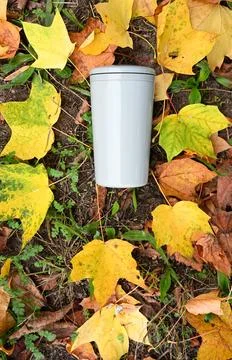 Reusable drinking cup lying among fallen autumn leaves representing  Stock Photos